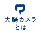 大腸カメラとは